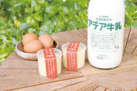 【冷蔵発送】土遊野無添加プリン　8個入り〈プレーン味〉