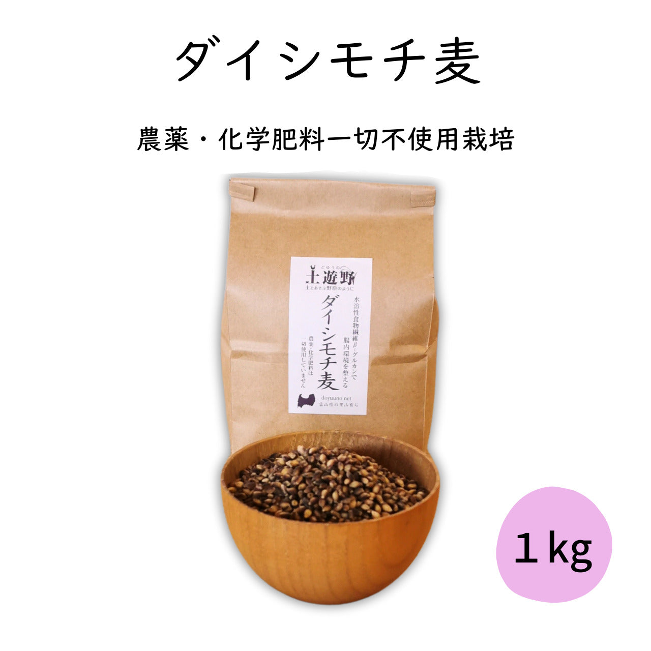 ダイシモチ麦 1kg