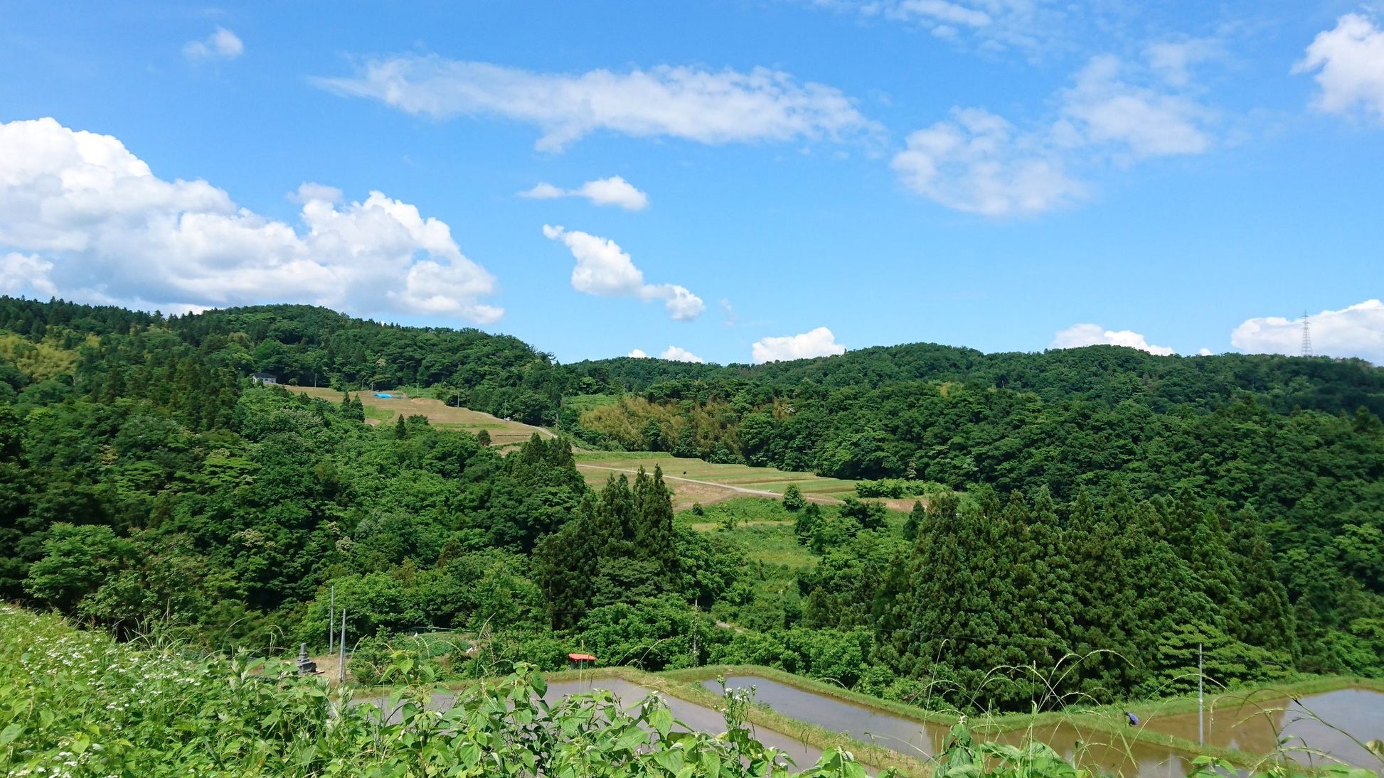【無添加調味料】里山お米の本みりん300ml