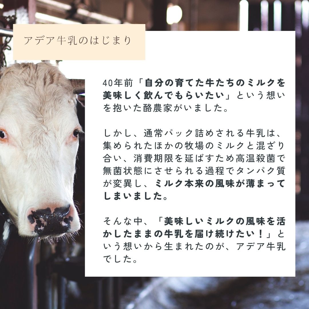 【風邪予防におすすめ】4種の乳酸菌配合！低温殺菌アデア牛乳の里山のヨーグルト（小）　6個入り