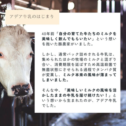 【風邪予防におすすめ】4種の乳酸菌配合！低温殺菌アデア牛乳の里山のヨーグルト（小）　6個入り