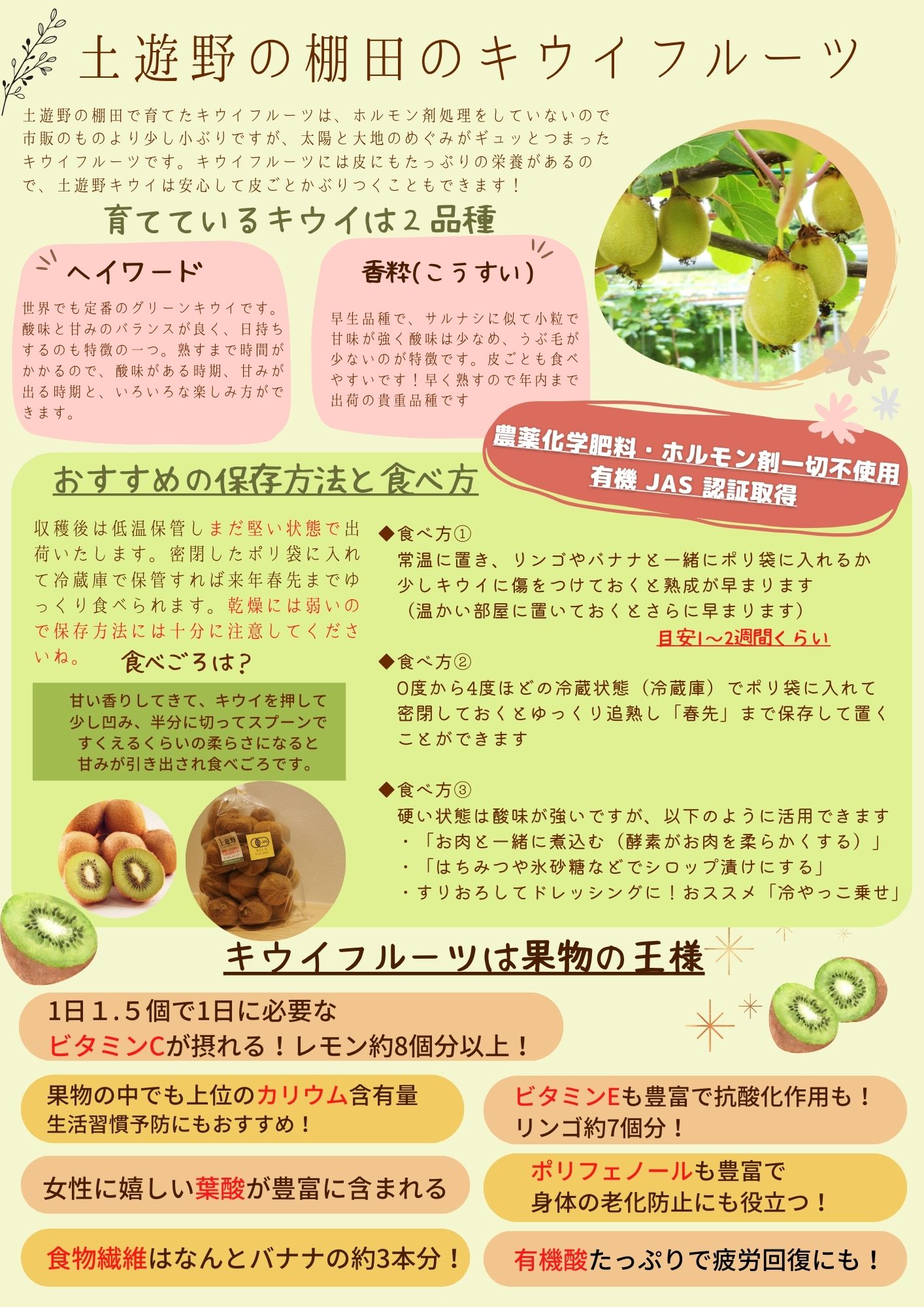 令和７年産 棚田の有機キウイフルーツ 800g（S～M混合）<安心安全な栄養たっぷり果物の王様！>