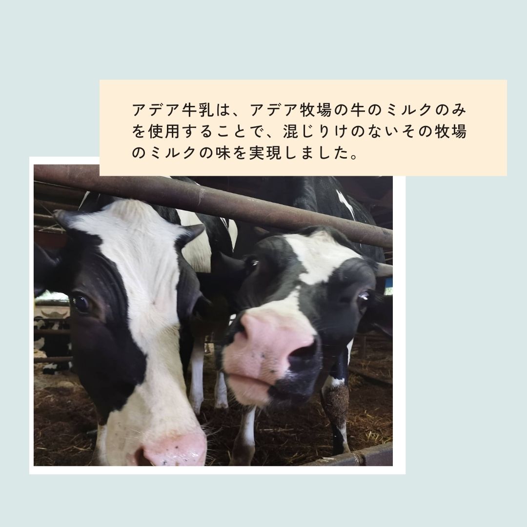 【風邪予防におすすめ】4種の乳酸菌配合！低温殺菌アデア牛乳の里山のヨーグルト（小）　6個入り