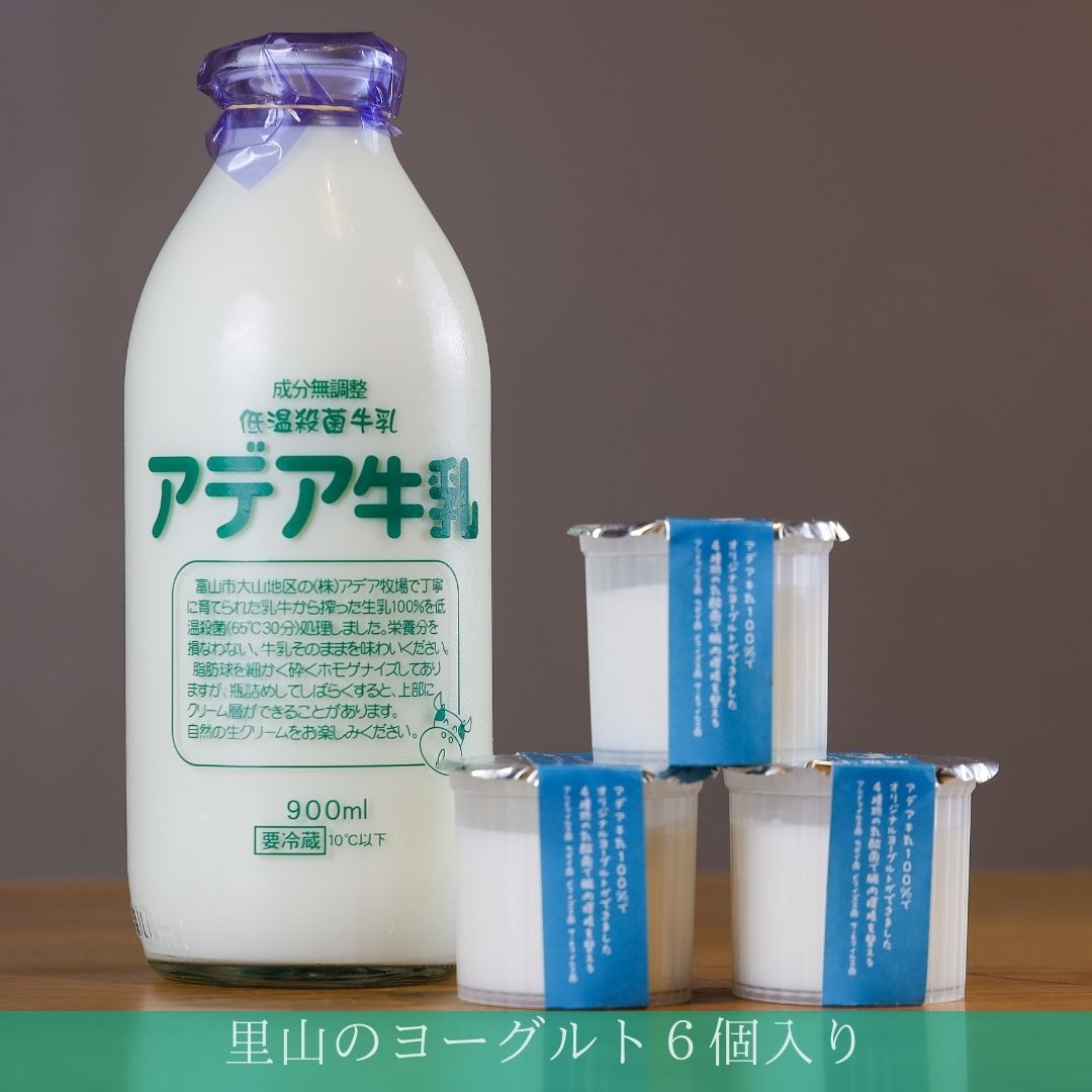 【風邪予防におすすめ】4種の乳酸菌配合！低温殺菌アデア牛乳の里山のヨーグルト（小）　6個入り