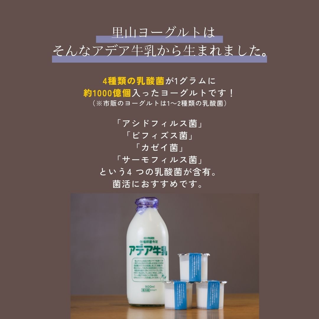 【風邪予防におすすめ】4種の乳酸菌配合！低温殺菌アデア牛乳の里山のヨーグルト（小）　6個入り