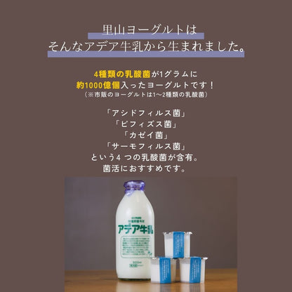 【風邪予防におすすめ】4種の乳酸菌配合！低温殺菌アデア牛乳の里山のヨーグルト（小）　6個入り