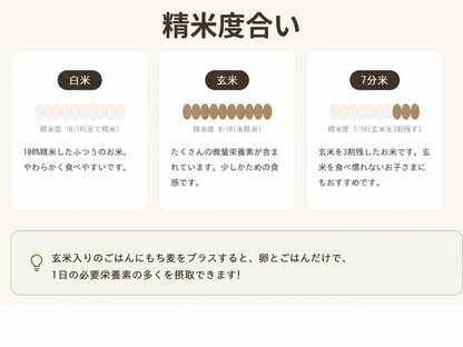 【令和7年産】土遊野の有機米コシヒカリ「棚田-tanada-」 〈2㎏・6㎏・10㎏・24㎏〉