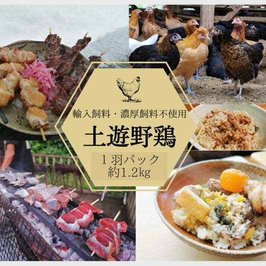 【冷凍発送】土遊野鶏１羽パック〈代引き支払い不可商品〉