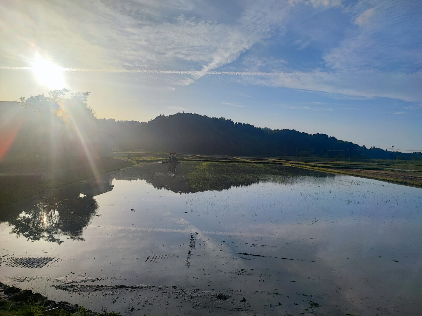 《令和7年産定期便》土遊野の有機米イセヒカリ「里山の麓・自然栽培」