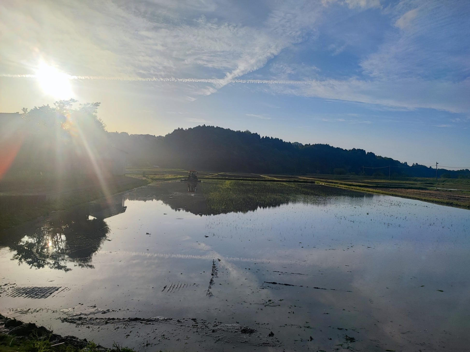 《令和7年産定期便》土遊野の有機米イセヒカリ「里山の麓・自然栽培」