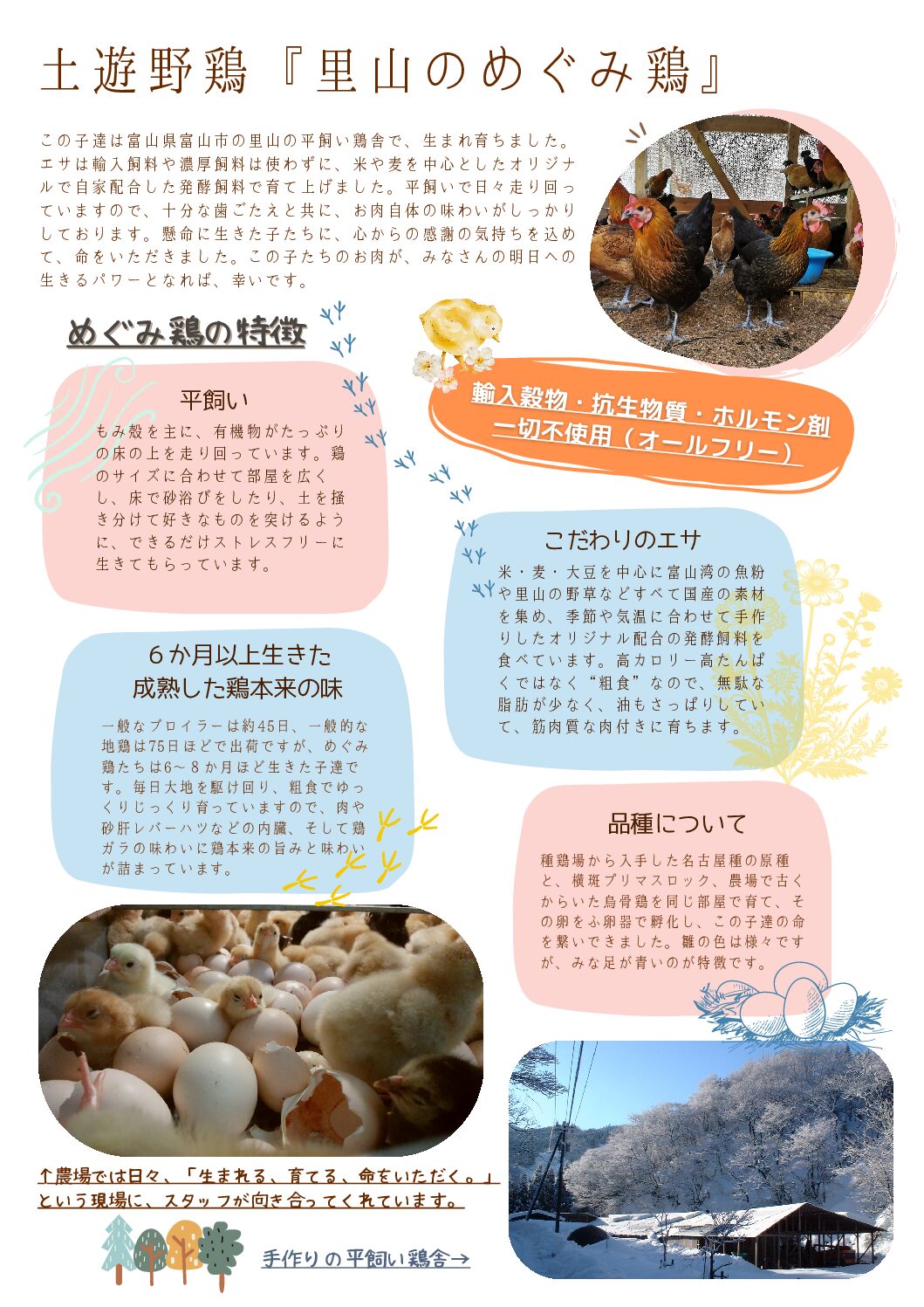 【冷凍発送】土遊野鶏１羽パック〈代引き支払い不可商品〉