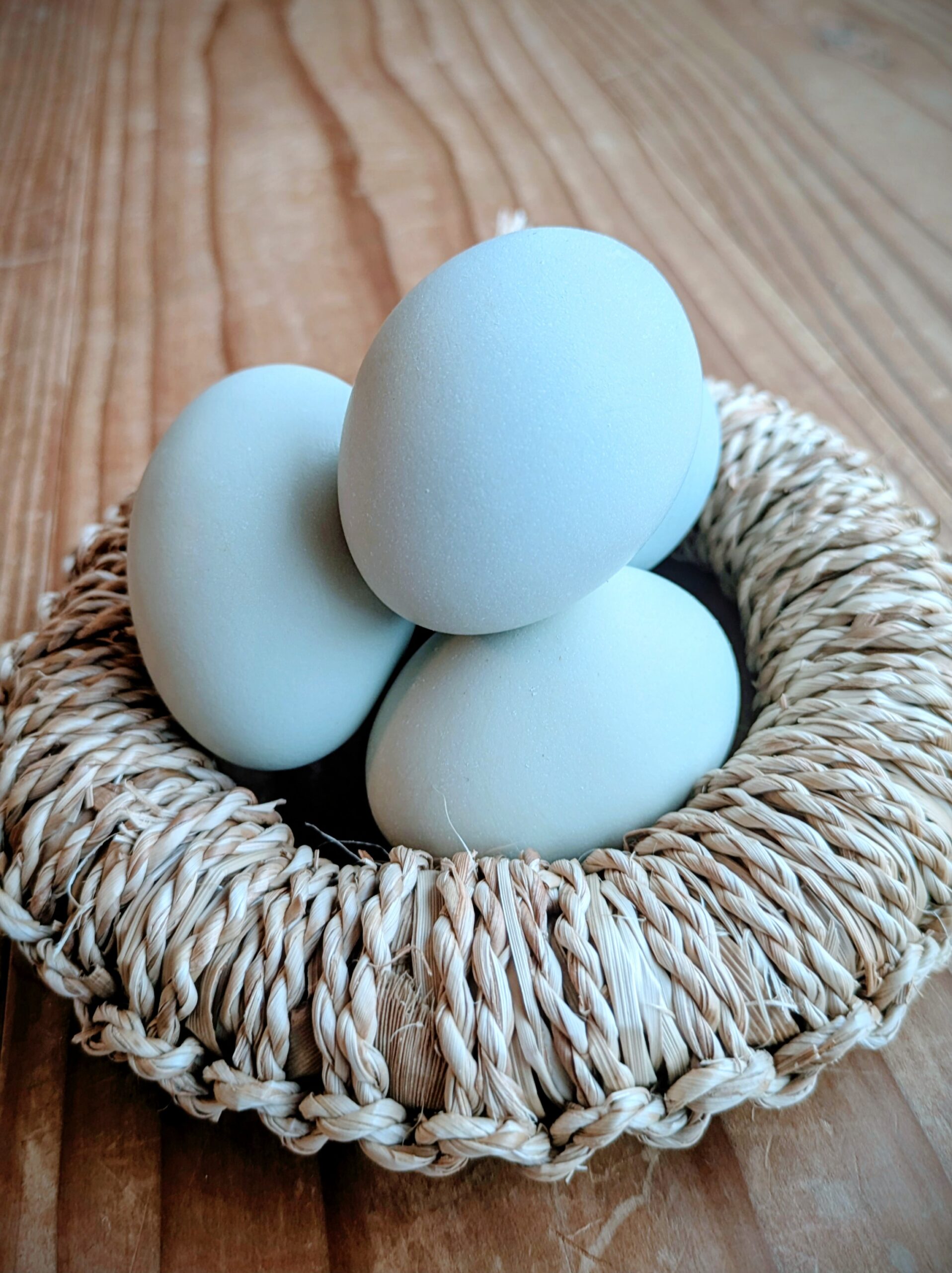 PXL_20260225_063222073.MP~2